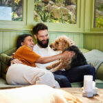 A laughing couple playing with their dog on the living room sofa, symbolizing the positive impact of ED medication on overall well-being and healthy relationships.